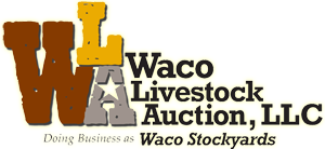Waco Livestock - Auction Barn